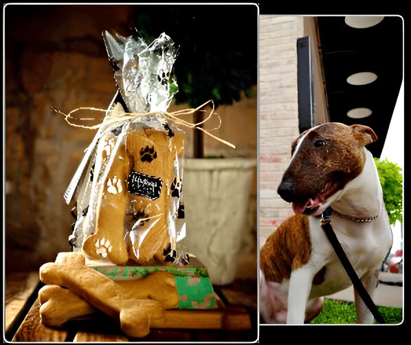 WALTON’S DOGGIE TREATS