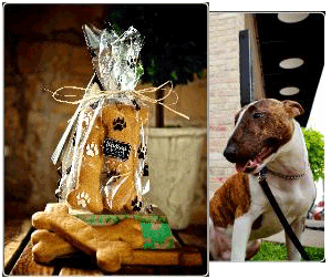 WALTON’S DOGGIE TREATS